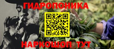сатива Кулебаки